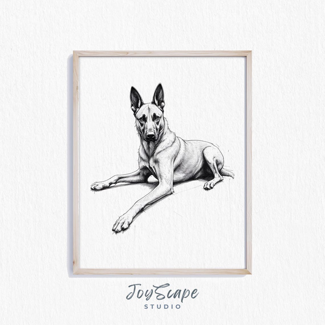 Belgian Malinois Pencil Sketch Black and White Resting Dog Poster