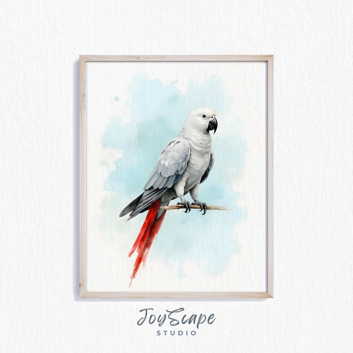African Grey Parrot Watercolor Exotic Bird Wildlife Art Print