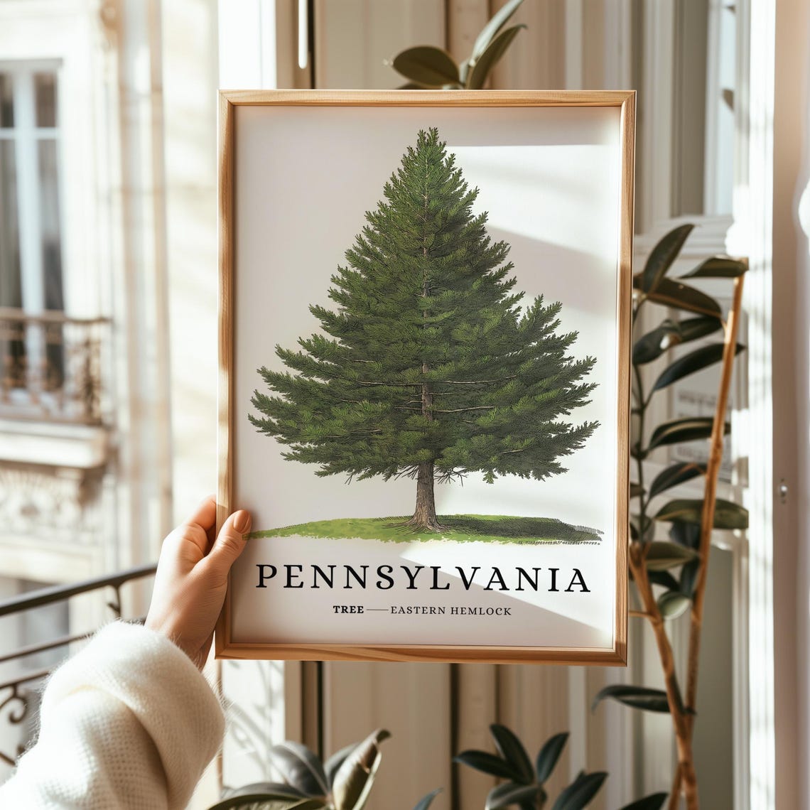 Pennsylvania Eastern Hemlock Tree Botanical Evergreen State Poster - Image 2