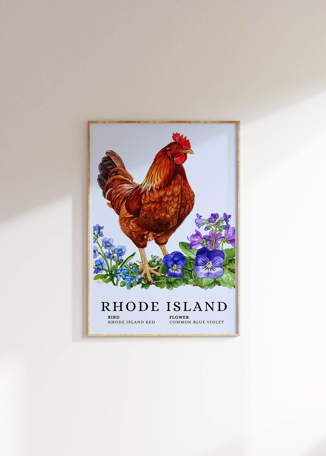 Rhode Island Red Common Blue Violet Bird and Flower Art Print