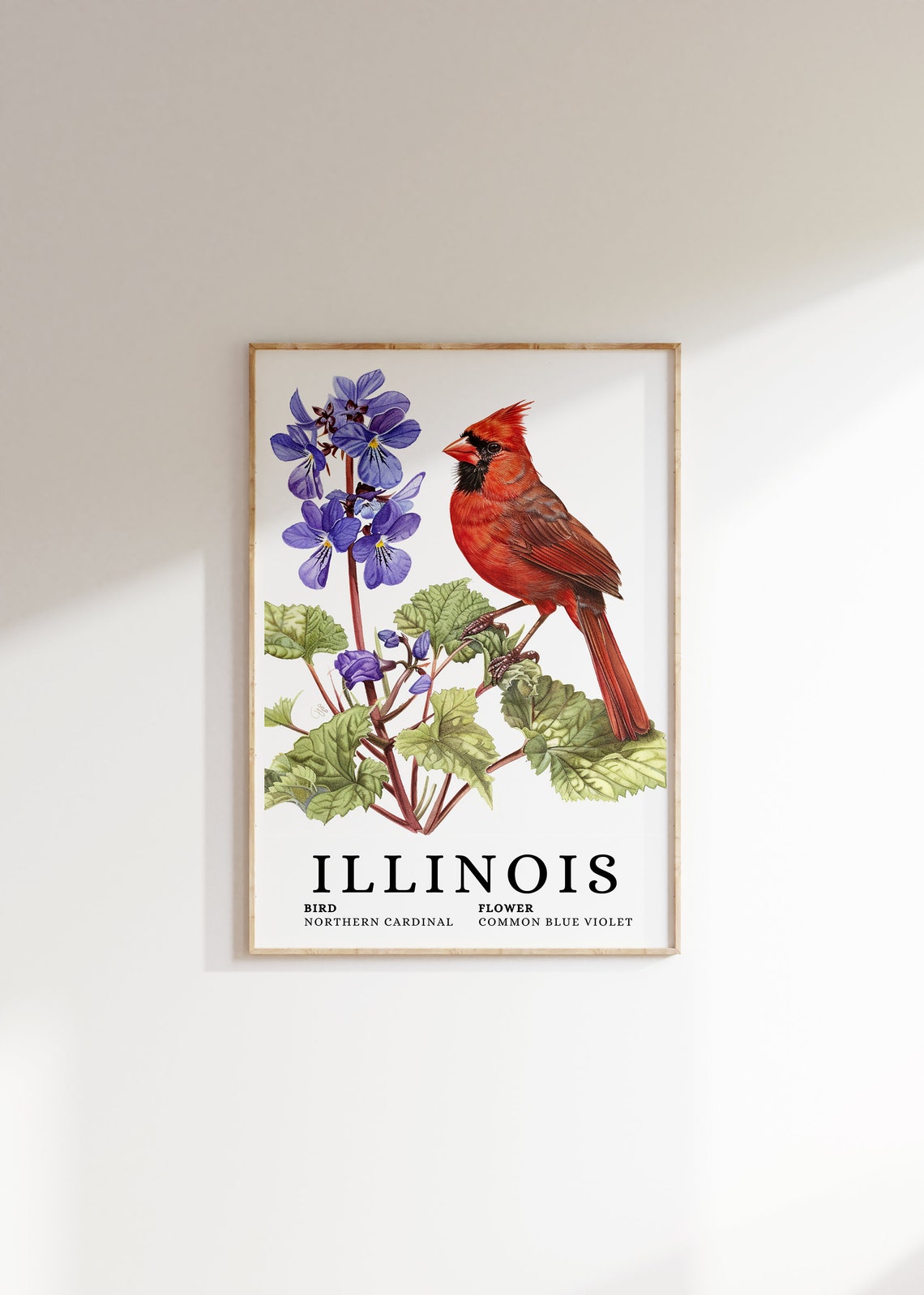 Illinois Northern Cardinal And Blue Violet Botanical Art Print