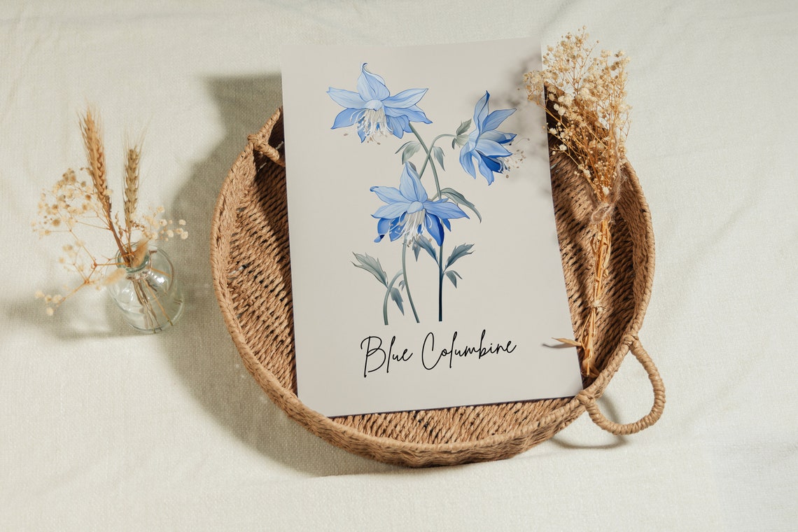 Blue Columbine Watercolor Flower Art Minimalist Botanical Wall Print - Image 3