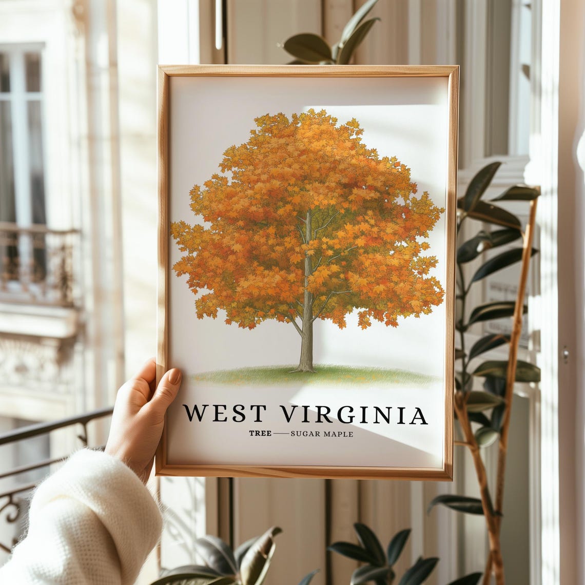 West Virginia Sugar Maple Fall Foliage Botanical State Tree Poster - Image 2