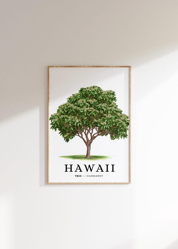 Hawaii State Tree Print Candlenut Tree Hawaiian Wall Art State Symbol Art Minimalist Home Decor Botanical Illustration
