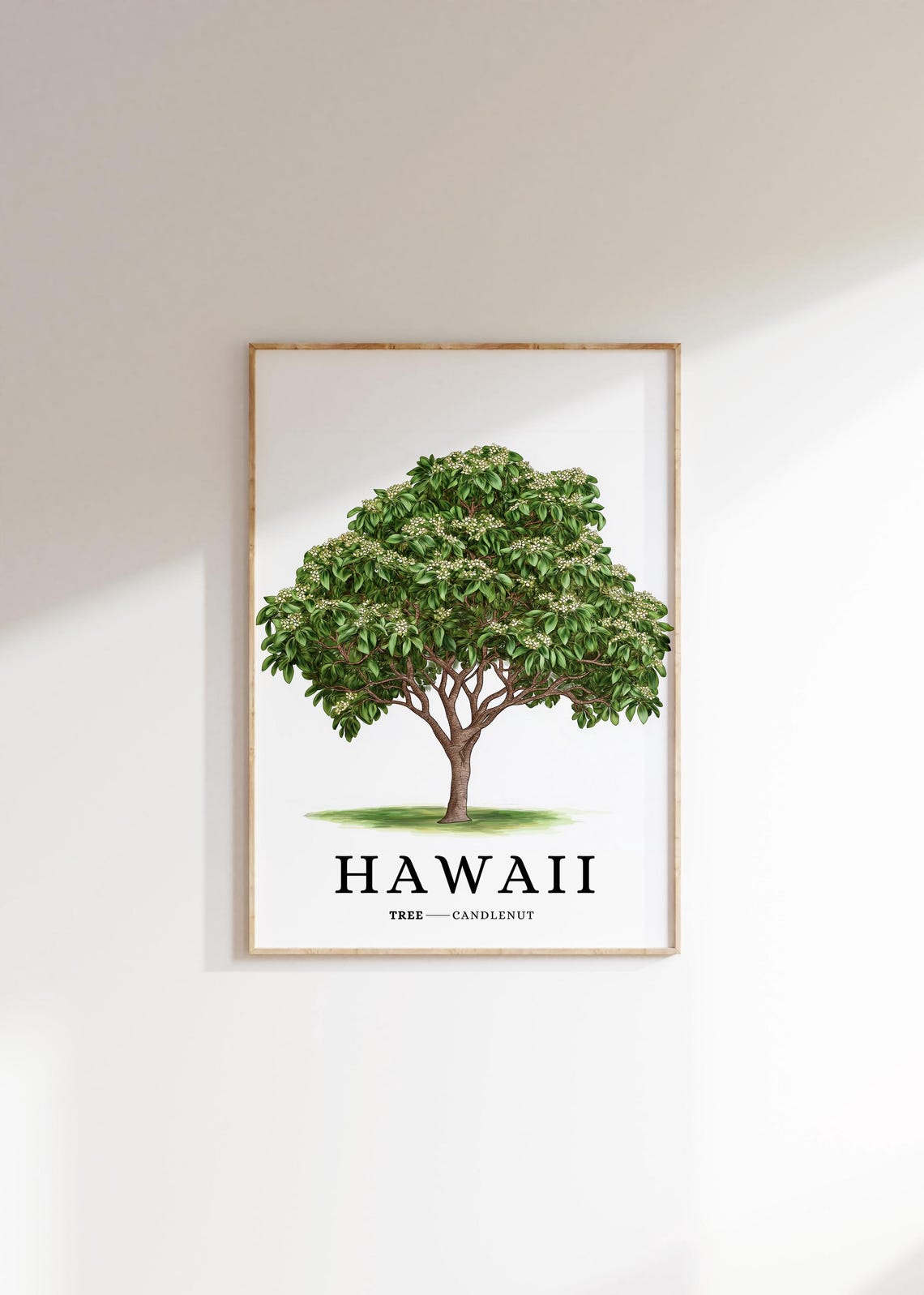 Hawaii State Tree Print Candlenut Tree Hawaiian Wall Art State Symbol Art Minimalist Home Decor Botanical Illustration