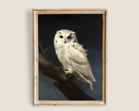Vintage Owl Painting Dark And Moody Wall Art Dark Academia Decor Art Nature Animal Painting Artic White Owl Bird Prints
