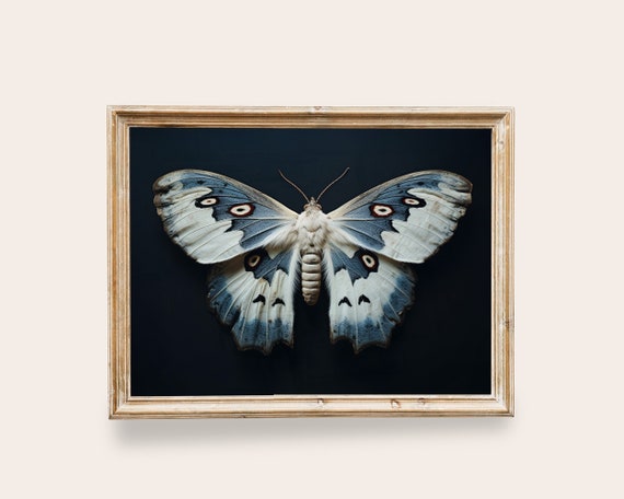 White Moth Victorian Art Butterfly Art Vintage Wall Art Butterfly Painting Dark Academia Decor Moon Moth Print