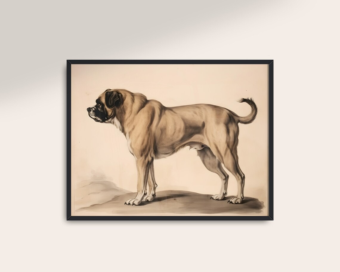 Vintage Mastiff Dog Antique Sketch Art Print - Image 3