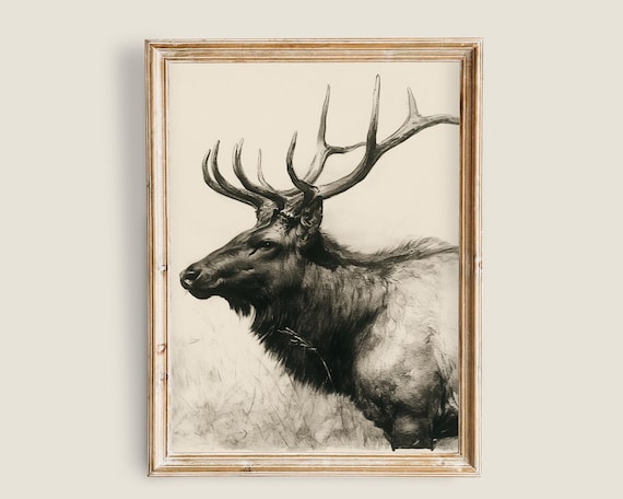 Deer Elk Drawing Vintage Art Art Vintage Animal Art Moody Dark Academia Decor Fauna Flora Wall Art