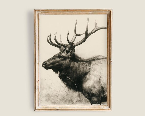 Elk Stag Antlers Monochrome Vintage Wildlife Sketch Wall Art Poster