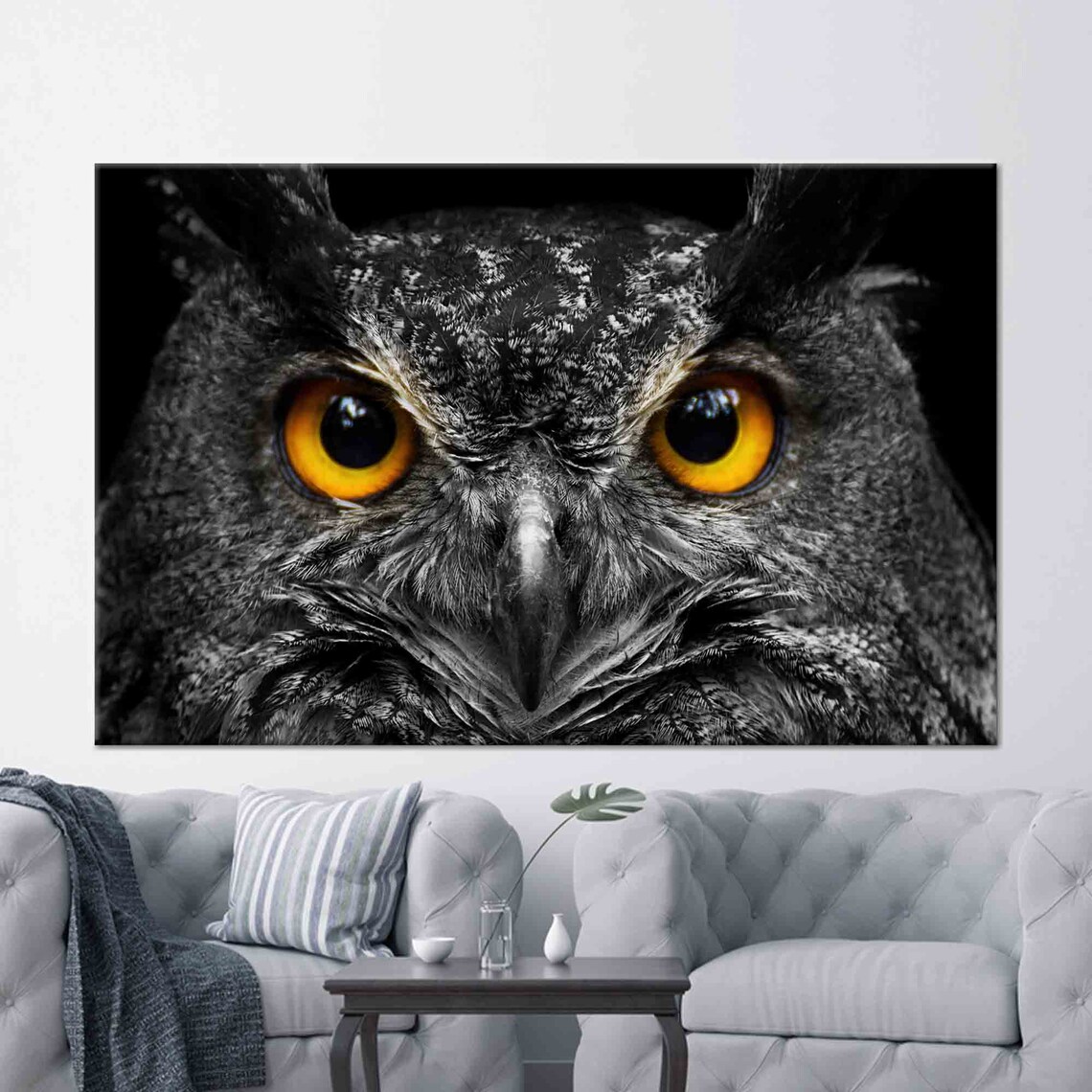 Owl Face Close Up Black and White Wildlife Photography Poster