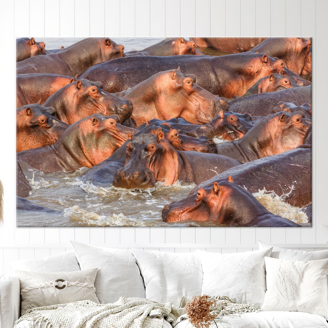 Hippopotamus Herd Crowded in River Wildlife Animal Photography Poster