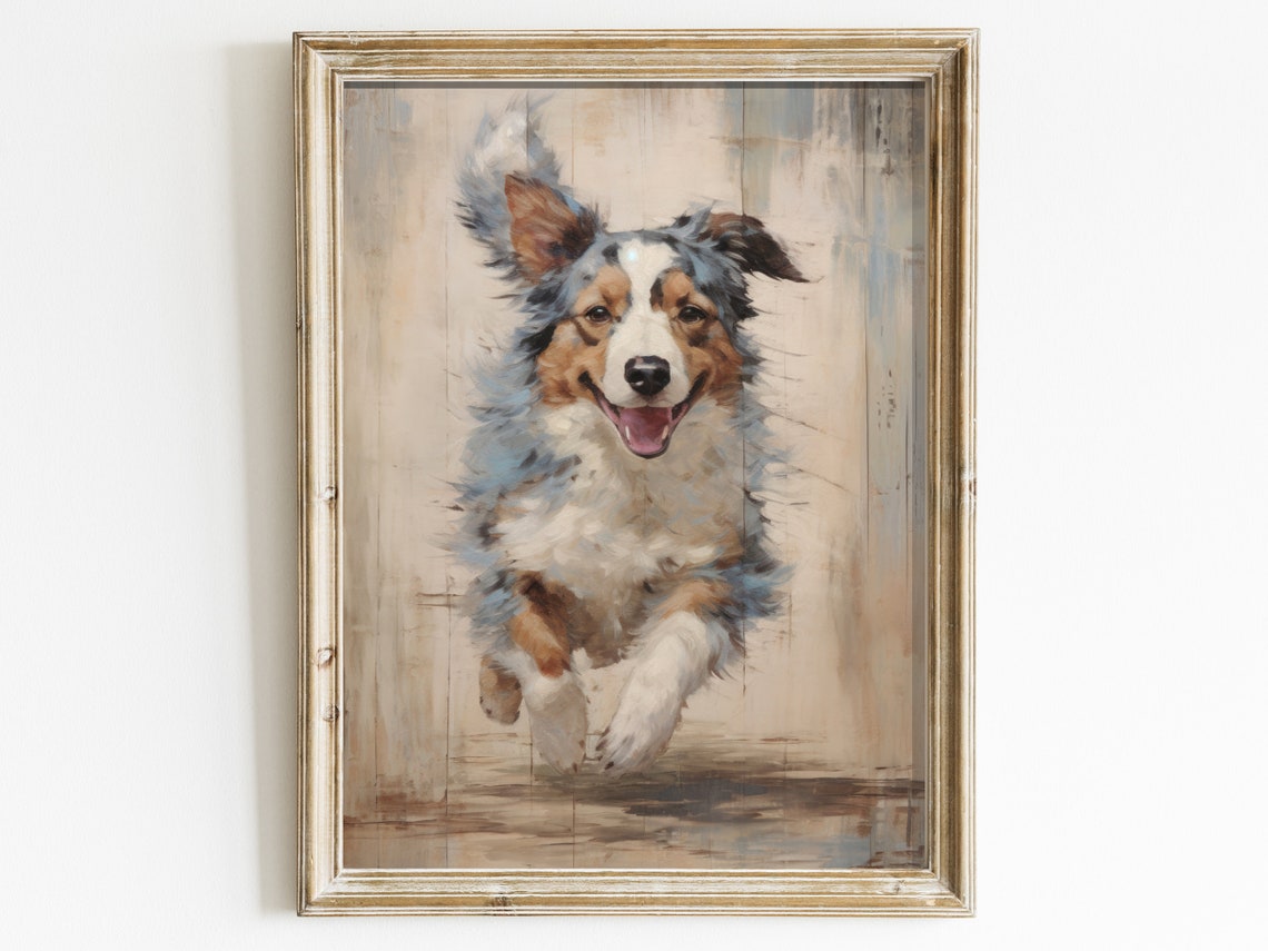 Happy Australian Shepherd Blue Merle Running Toward Viewer Art Poster