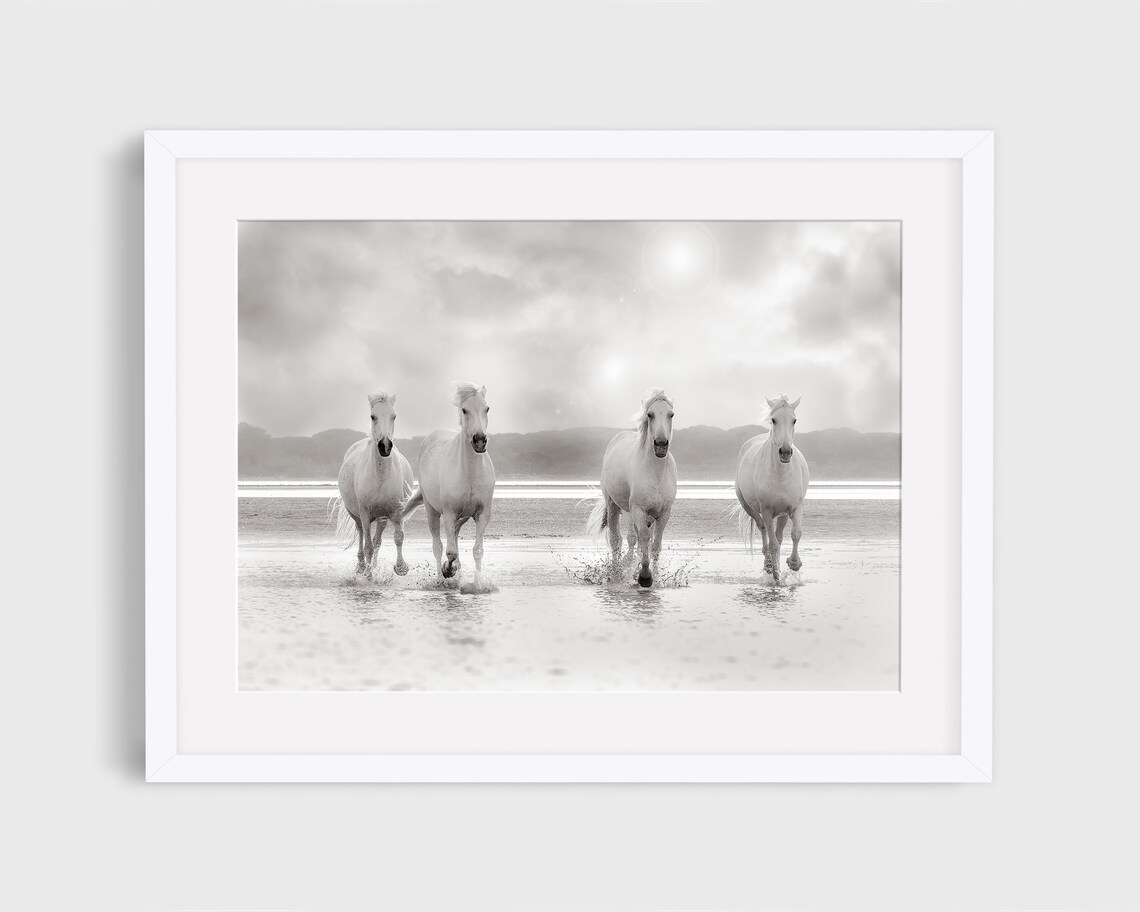 Wild Horse Photography Print, Camargue Horse