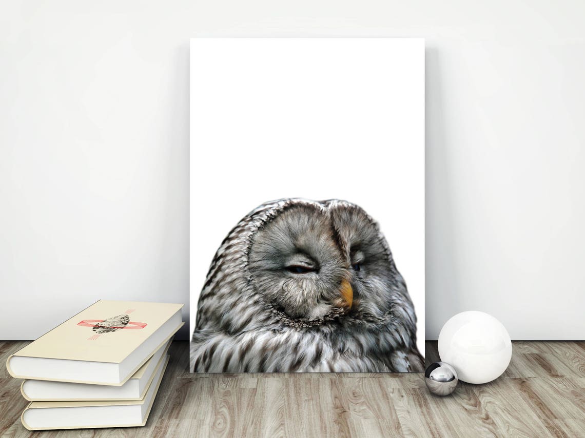 Sale Owl Wall Art Woodlands Animal Print Forest Animal Baby Woodland Decor Wilderness Wall Art Print Nursery Print - Image 2