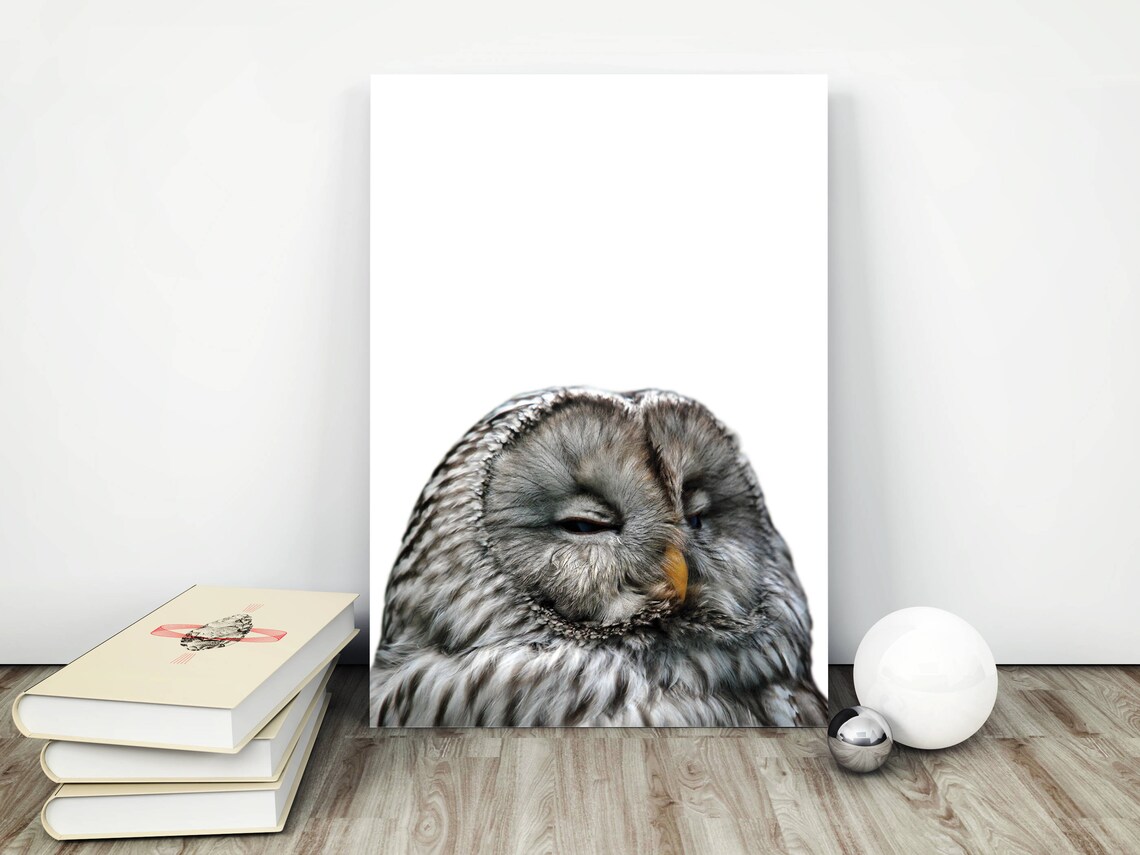 Sleepy Great Grey Owl Close Up Photograph Animal Portrait Poster - Image 2