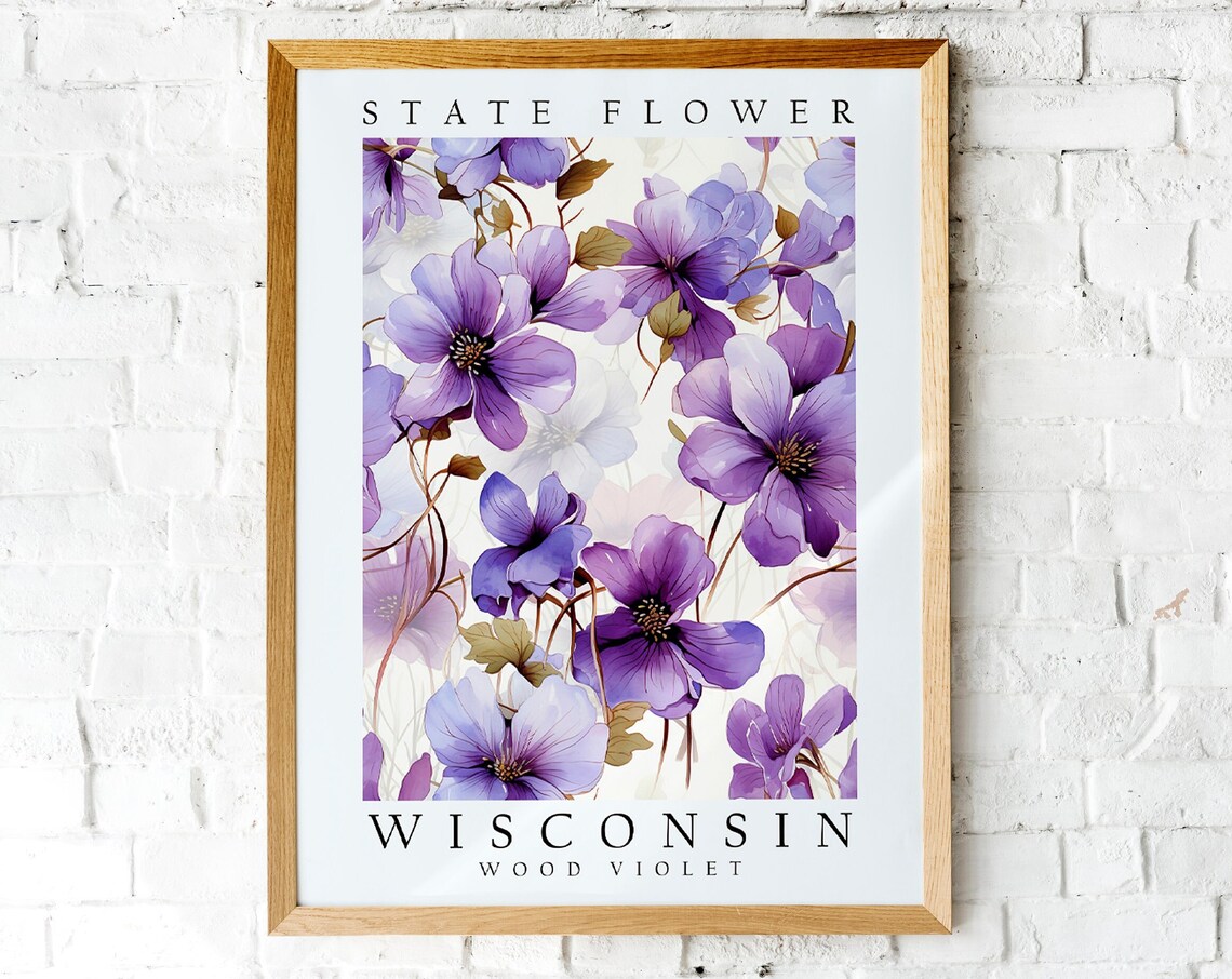 Wisconsin Wood Violet State Flower Purple Botanical Art Print