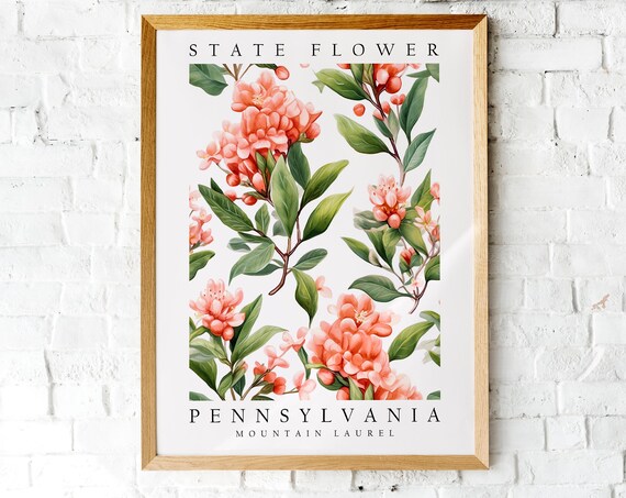 Pennsylvania Mountain Laurel State Flower Botanical Art Poster