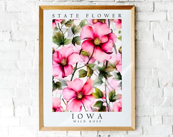 Iowa Wild Rose Pink State Flower Botanical Watercolor Art Poster