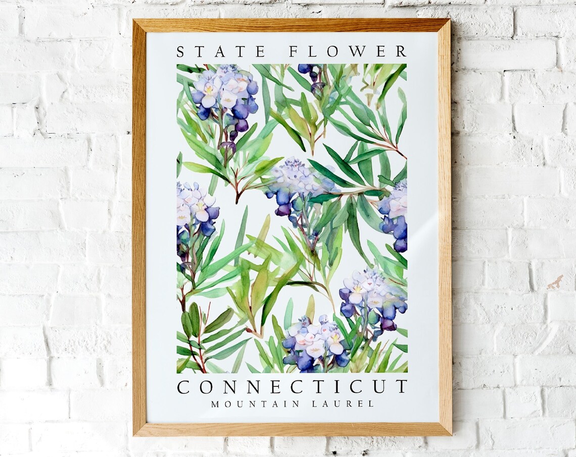 Connecticut Mountain Laurel State Flower Watercolor Botanical Poster