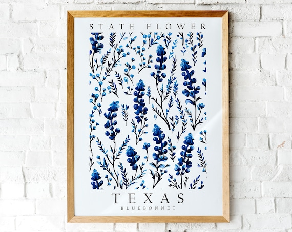 Texas State Flower Bluebonnet Botanical Watercolor Flower Poster