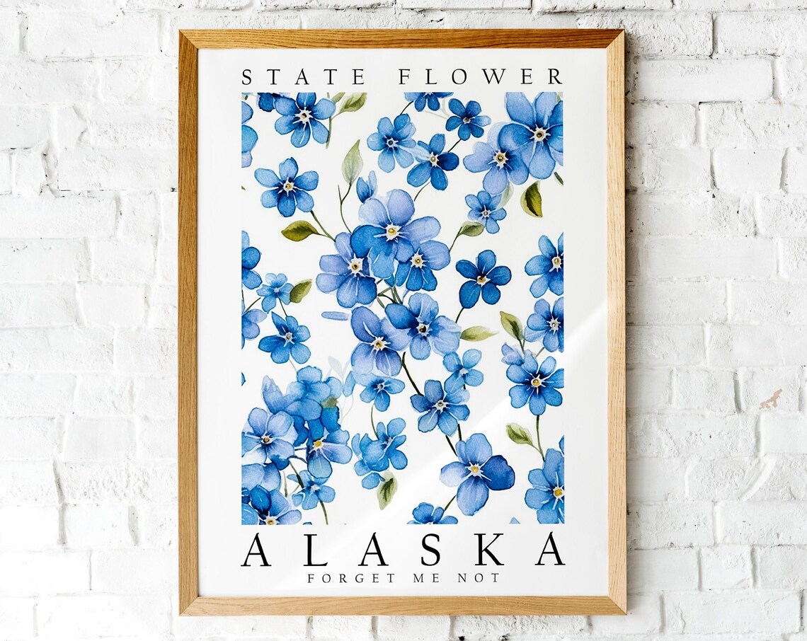 Forget Me Not Alaska State Flower Poster Print