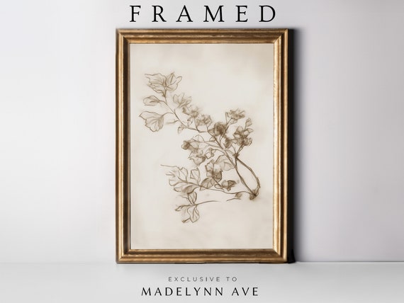 Antique Branch Sketch, Vintage Botanical Art Print