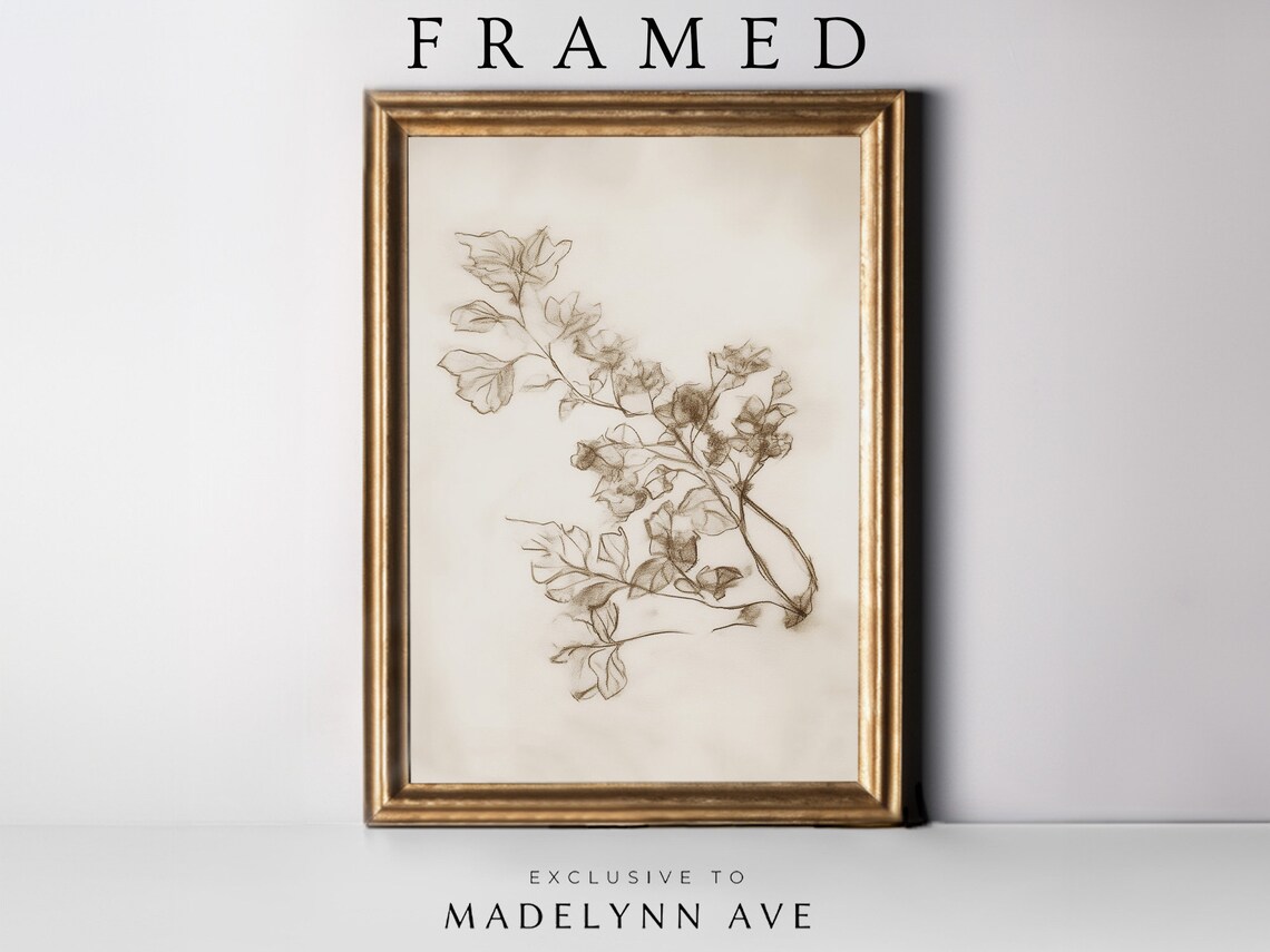 Antique Branch Sketch, Vintage Botanical Art Print