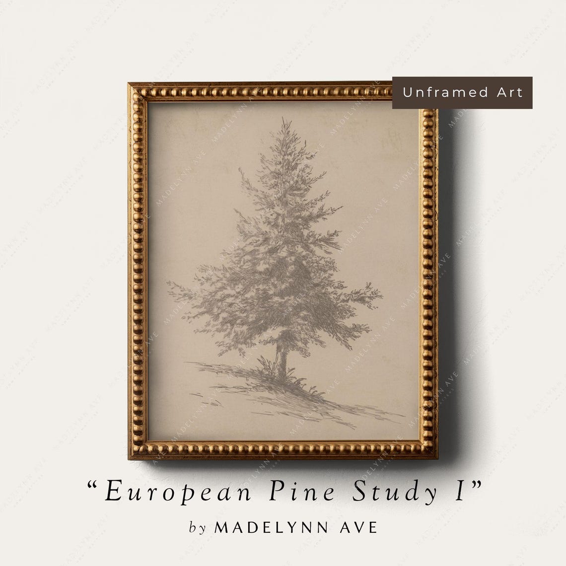 European Pine Study I Tall Slender Pine Sketch Drawing Poster