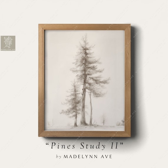 Modern Pine Tree Sketch Art Print, Farmhouse Style