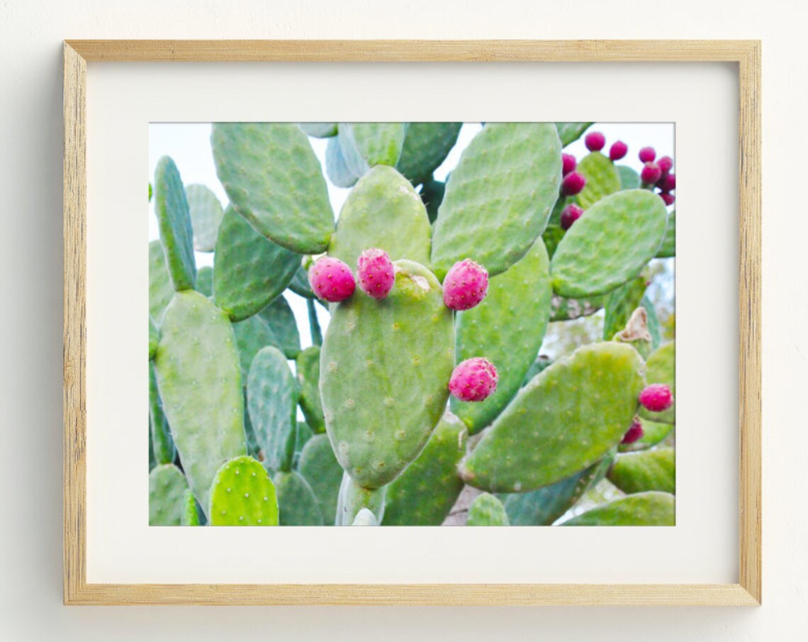 Cactus Photography Art Print, Modern Mexico Wall Art