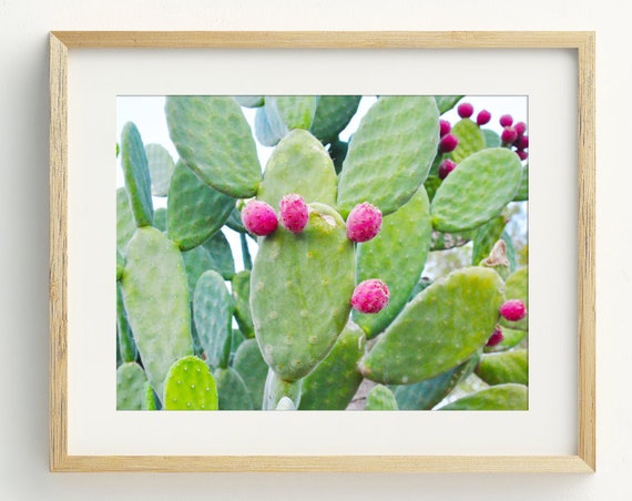Cactus Photography Art Print, Modern Mexico Wall Art