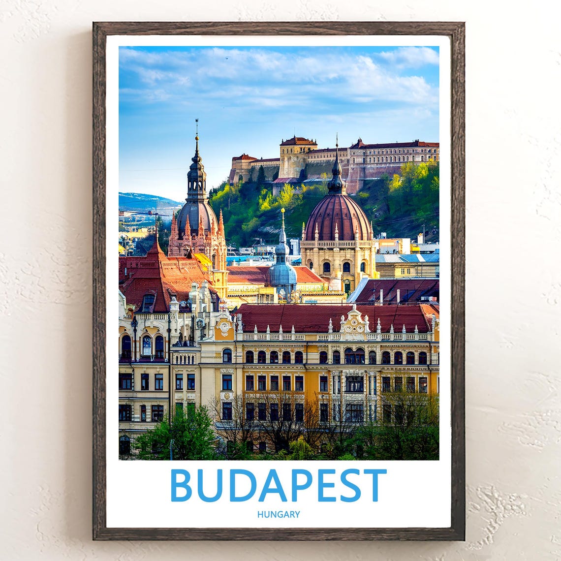 Budapest Hungary Castle Hill Skyline Domed Churches Photo Poster