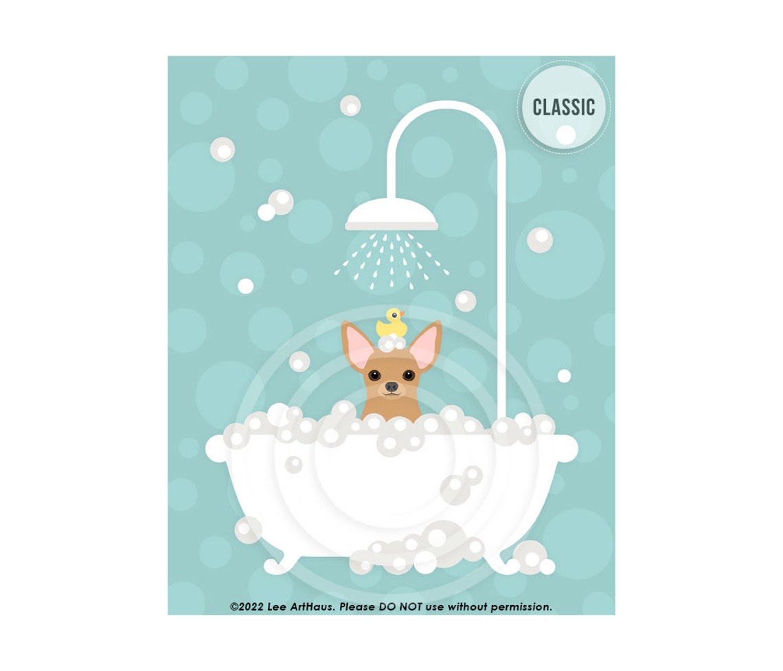 Tan Chihuahua Bubble Bath Shower Rubber Ducky Teal Bathroom Poster