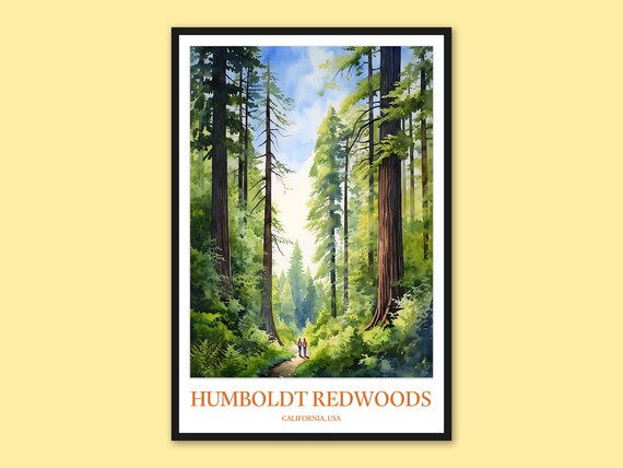Humboldt Redwoods State Park Travel Poster Wall Art