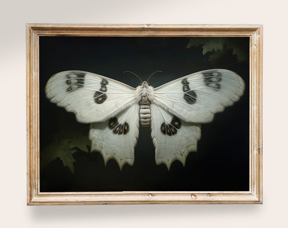 Vintage White Moth Butterfly Art Vintage Wall Art Vintage Butterfly Art Prints Dark Academia Decor Moon Moth Dark Goth