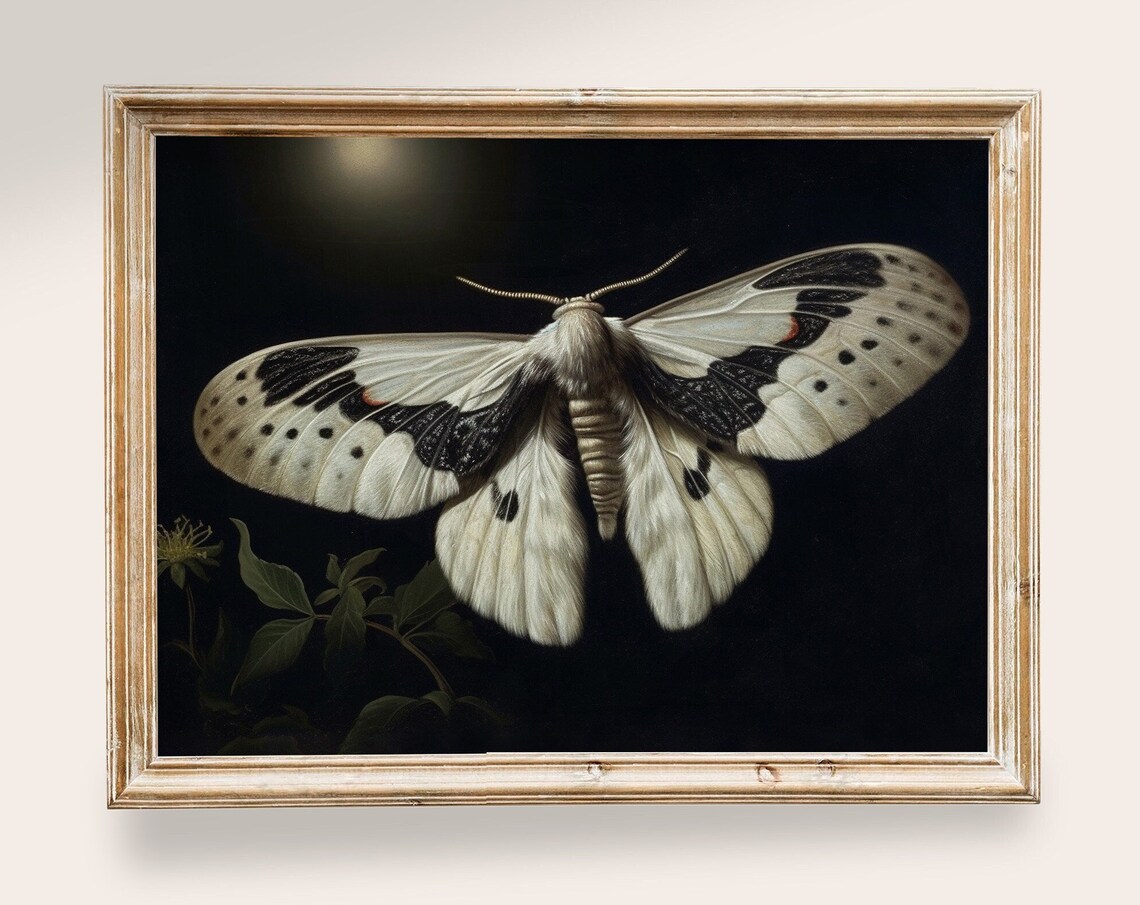 White Moth Victorian Butterfly Art, Dark Academia