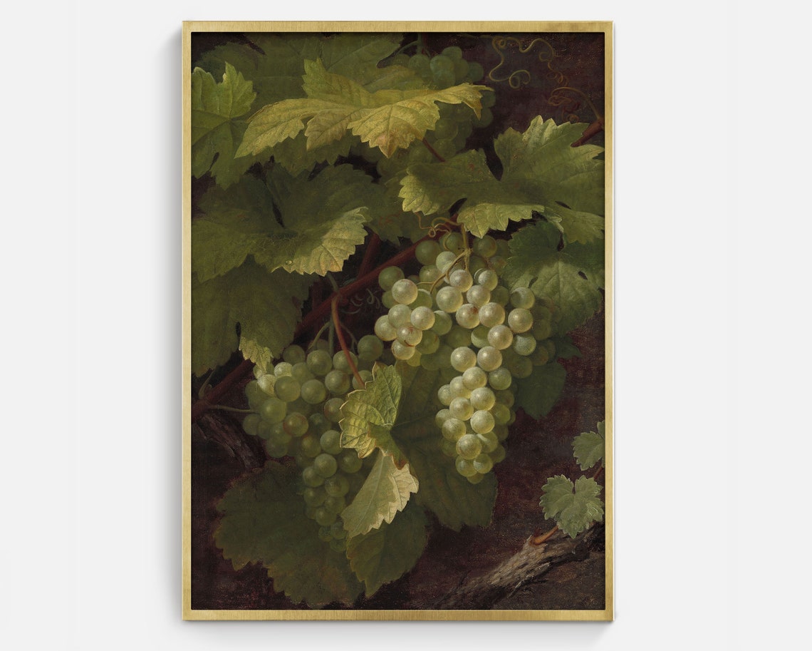 Green Grapes On Vine Dark Background Fruit Still Life Art Poster