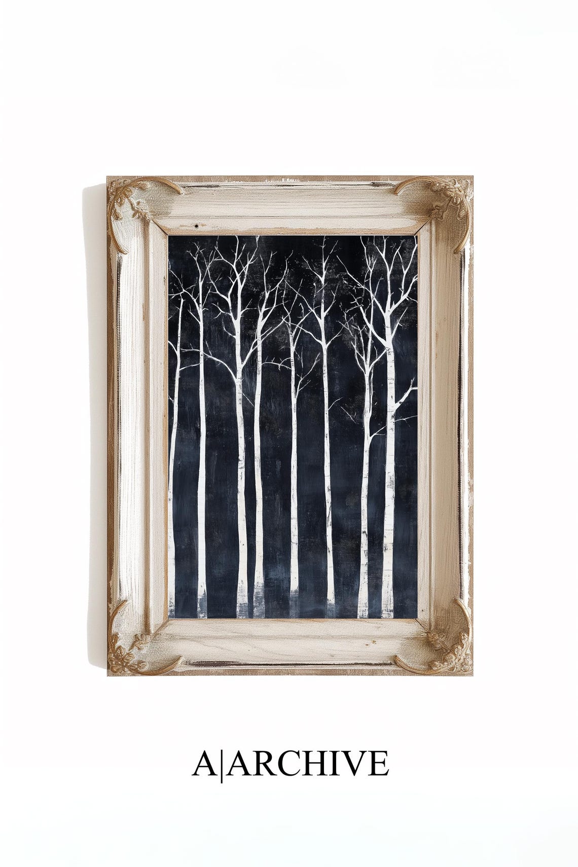 White Bare Birch Trunks Black Background Stark Minimal Art Poster