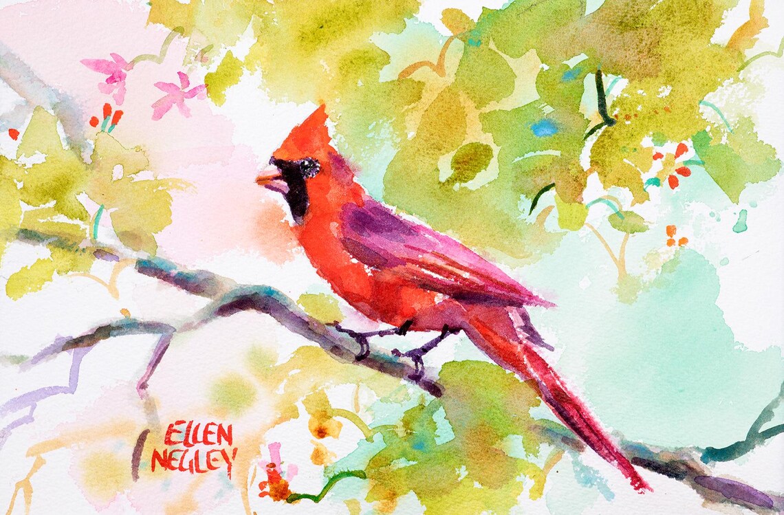 Northern Cardinal Watercolor Bird on a Blossom Branch Poster