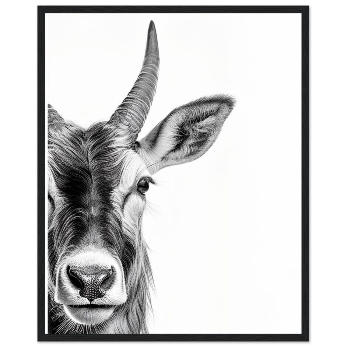 Peeking Antelope Close-Up Black and White Safari Wildlife Poster - Image 2