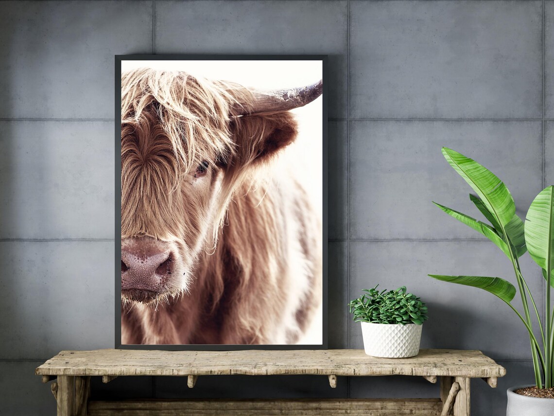 Cow Illustration - Farm Animal Art Print - Image 3
