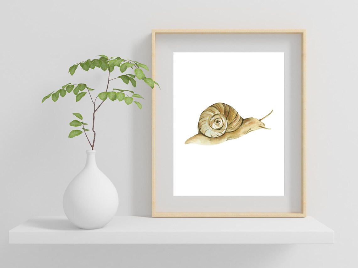 Garden Snail Watercolor Painting Woodland Insect Cute Nursery Print - Image 2