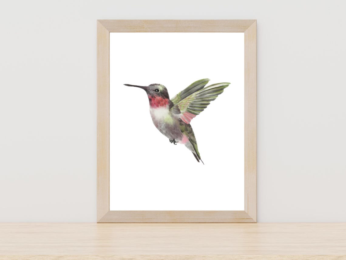 Ruby Throated Hummingbird Watercolor Bird Flight Fine Art Print