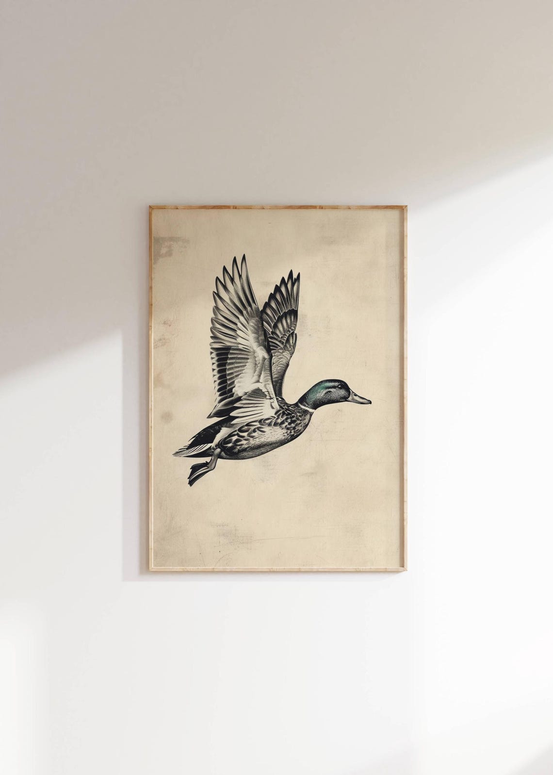 Mallard Duck Flying Vintage Pencil Sketch Rustic Wildlife Poster