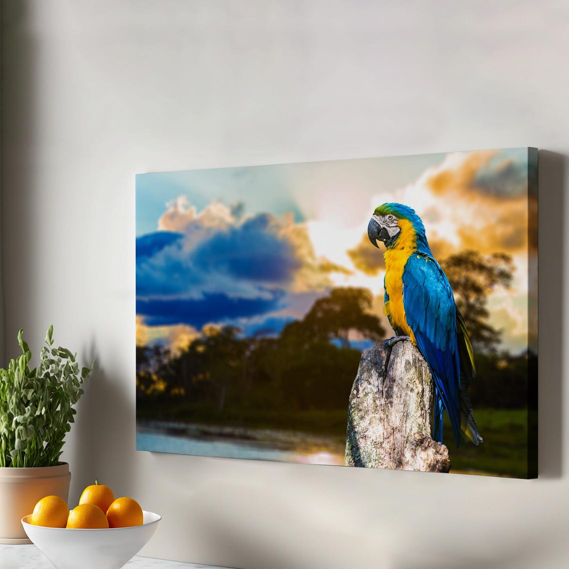 Blue And Yellow Macaw Parrot Perched At Sunset Tropical Bird Poster