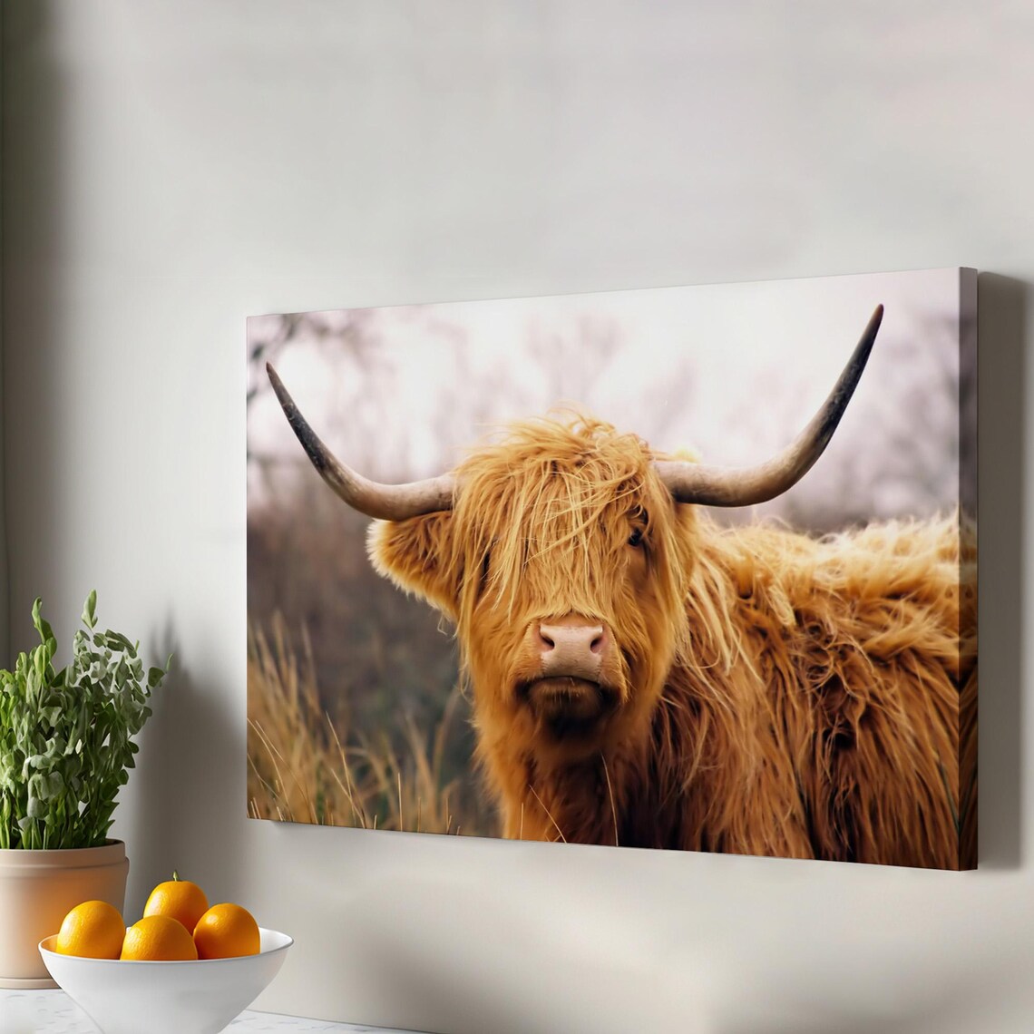 Highland Cow Close Up Shaggy Ginger Hair Farmhouse Canvas Poster