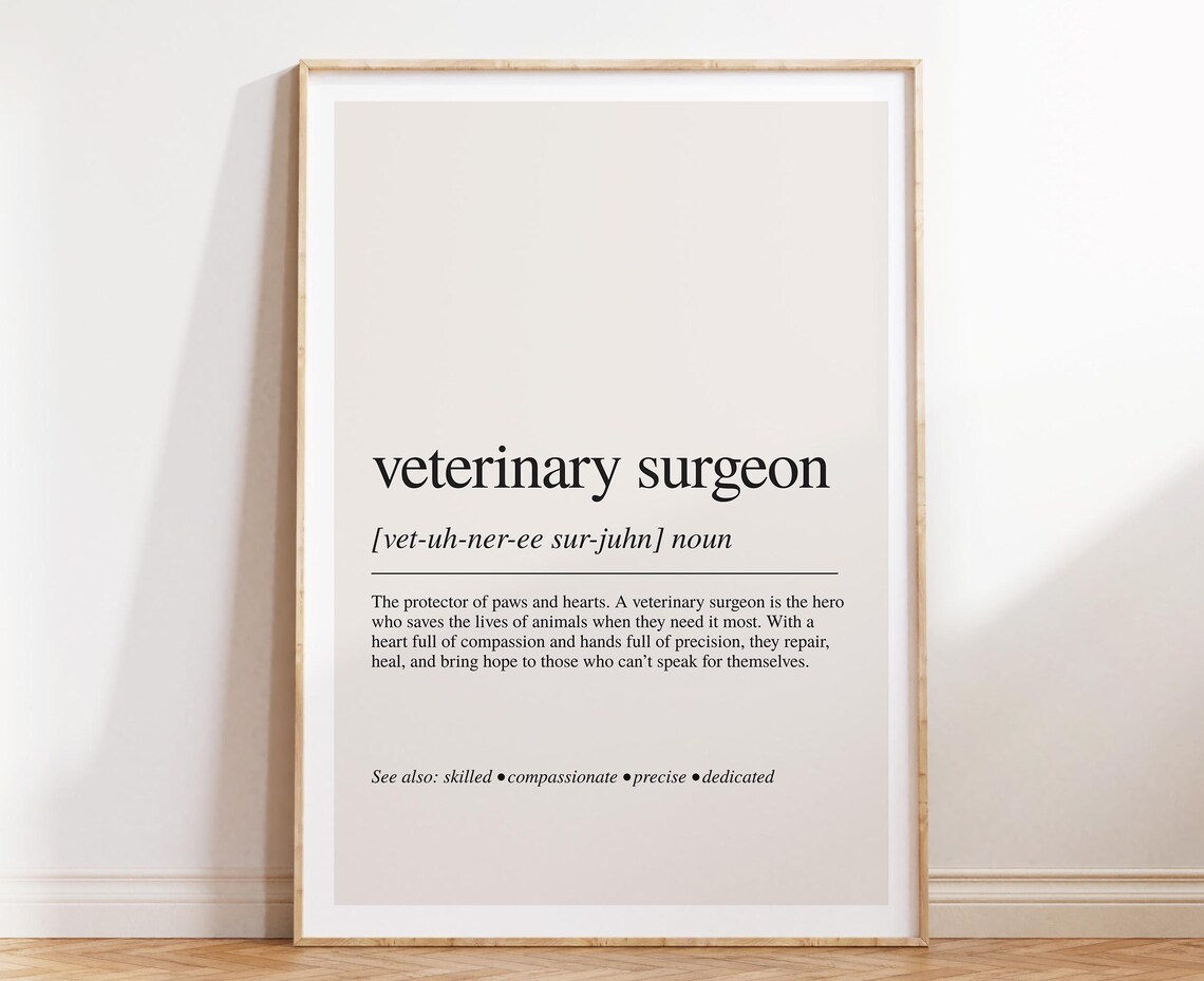 Veterinary Surgeon Definition Dictionary Style Noun Poster Animal Hero Gift