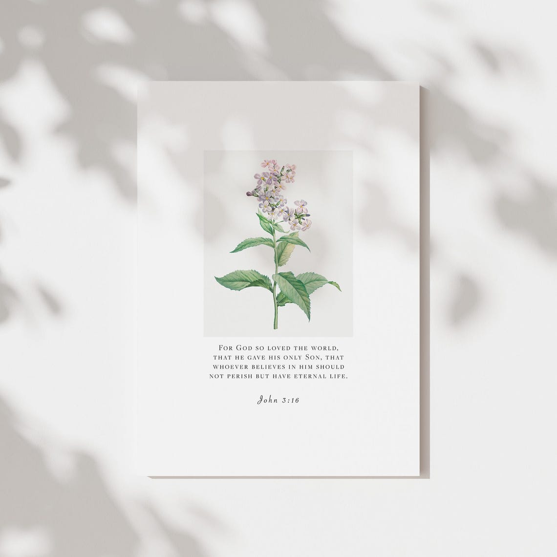 John 3:16 Bible Verse Purple Wildflower Botanical Scripture Poster