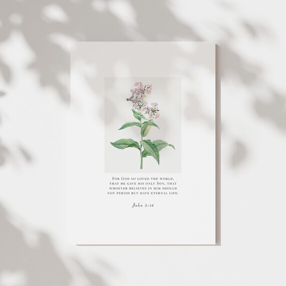 John 3:16 Bible Verse Purple Wildflower Botanical Scripture Poster